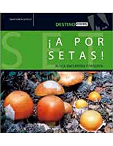 ¡A POR SETAS! BUSCA, ENCUENTRA Y DEGUSTA
