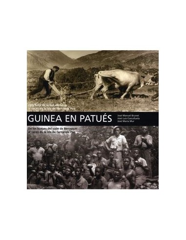 GUINEA EN PATUÉS