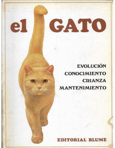 EL GATO evolución, conocimiento,...