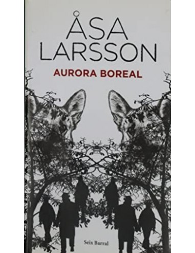 AURORA BOREAL