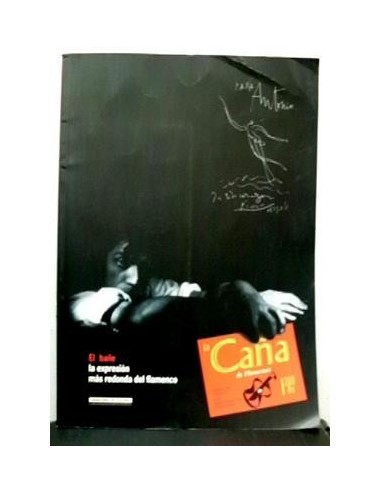 LA CAÑA DE FLAMENCO 12
