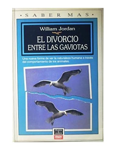 EL DIVORCIO ENTRE LAS GAVIOTAS