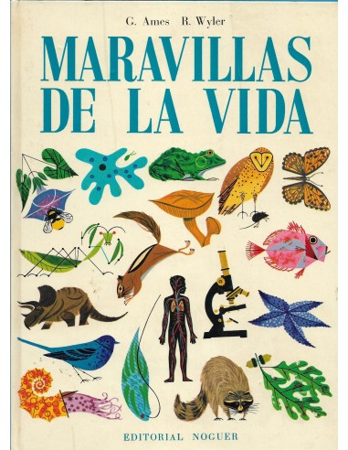 MARAVILLAS DE LA VIDA
