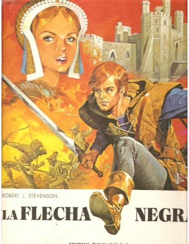 LA FLECHA NEGRA