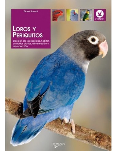 LOROS Y PERIQUITOS
