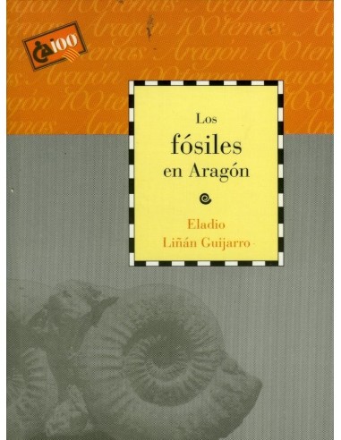 LOS FÓSILES EN ARAGÓN