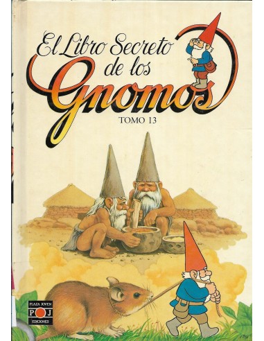 EL LIBRO SECRETO DE LOS GNOMOS 13