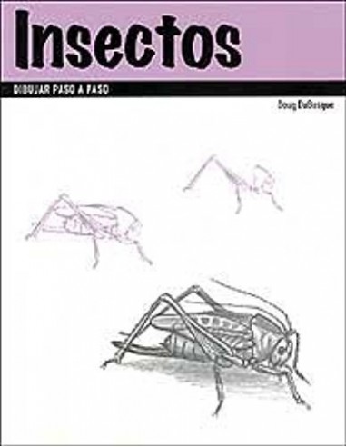 INSECTOS Dibujar paso a paso