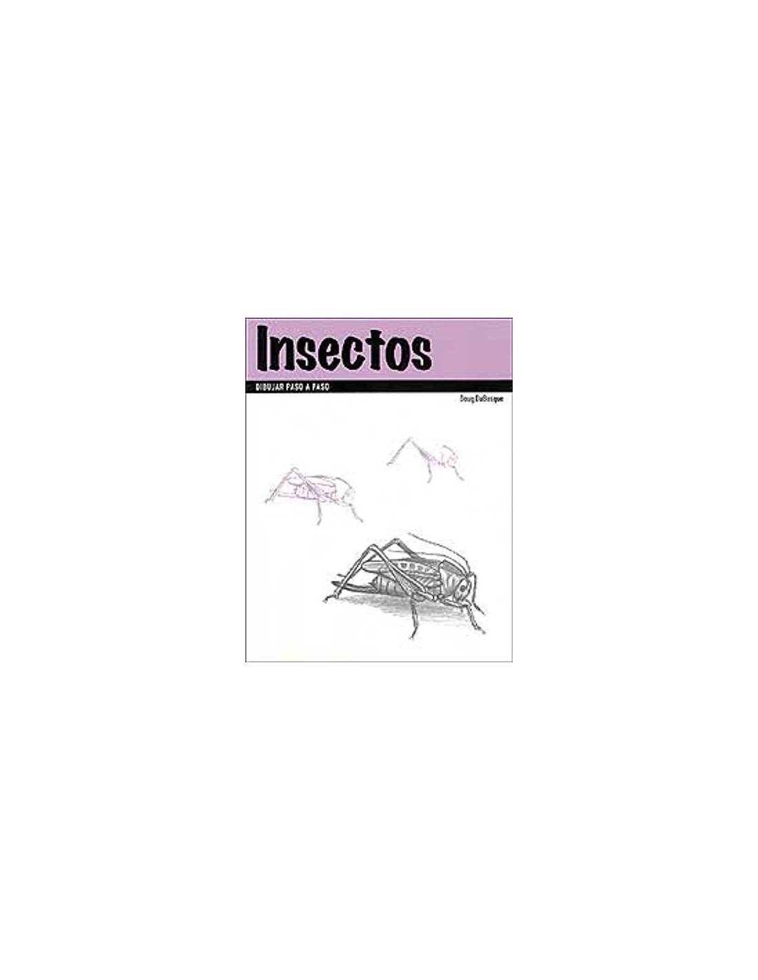 INSECTOS Dibujar paso a paso