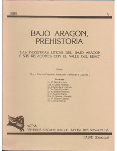 BAJO ARAGÓN PREHISTORIA V 1985