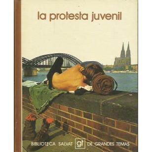 LA PROTESTA JUVENIL