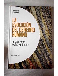 LA EVOLUCIÓN DEL CEREBRO...
