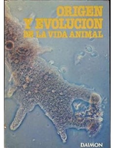 ORIGEN Y EVOLUCIÓN DE LA...