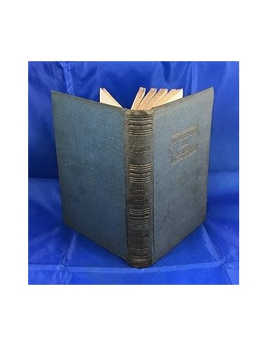 LOS HÉROES DEL DESIERTO