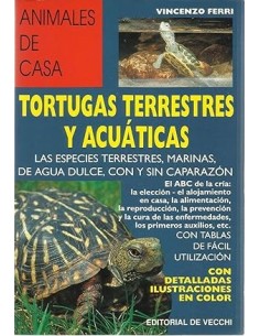TORTUGAS TERRESTRES Y...