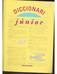 DICCIONARI JUNIOR