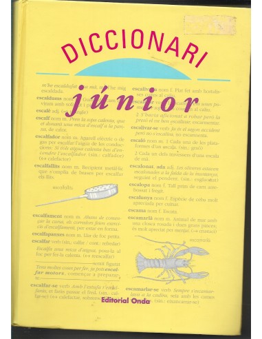 DICCIONARI JUNIOR